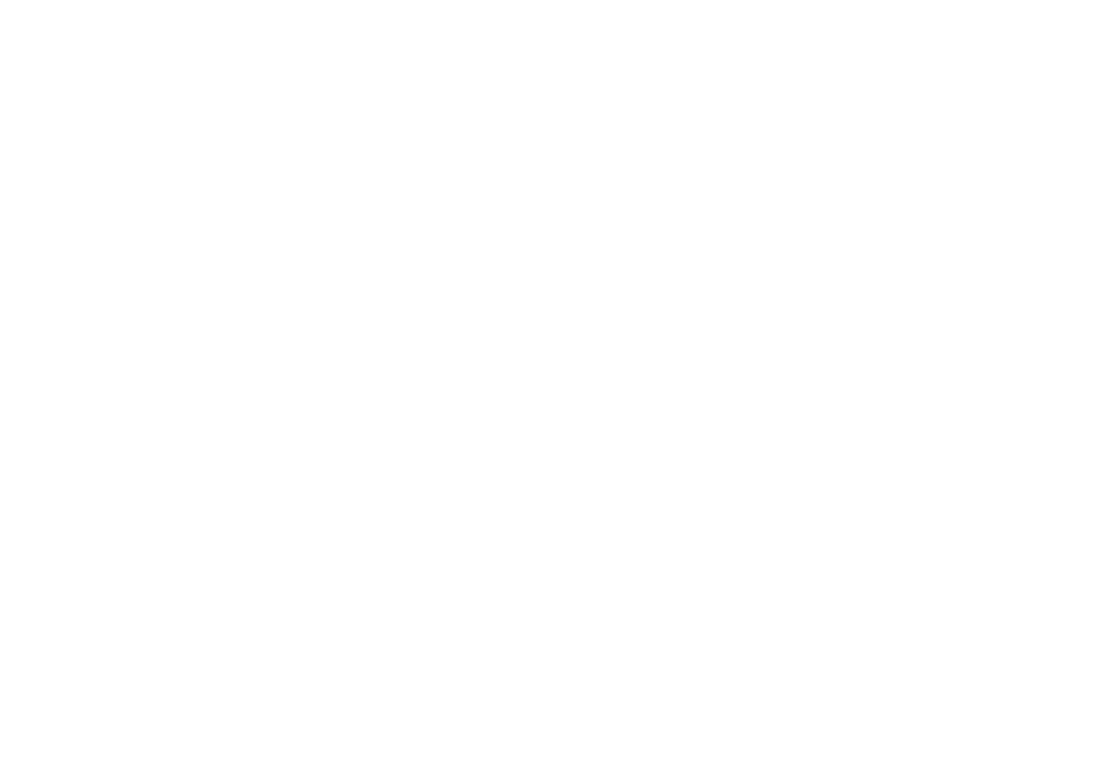 Sirius World Wide Charter